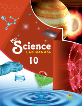 Science Lab Manual 10